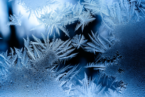 A Cold Comfort Affair